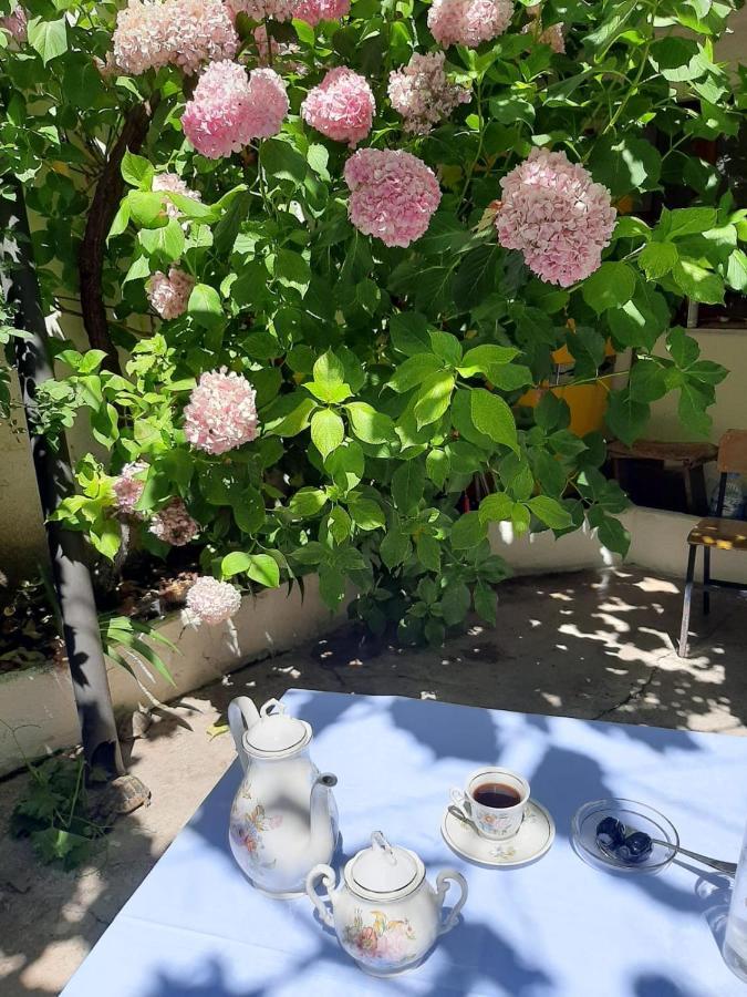Vrenjo Guesthouse Gjirokastër Eksteriør bilde